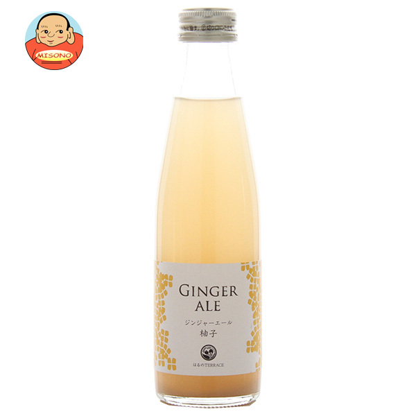 スタジオオカムラ ジンジャーエール柚子 195ml瓶×24本入×(2ケース)｜ 送料無料の通販は