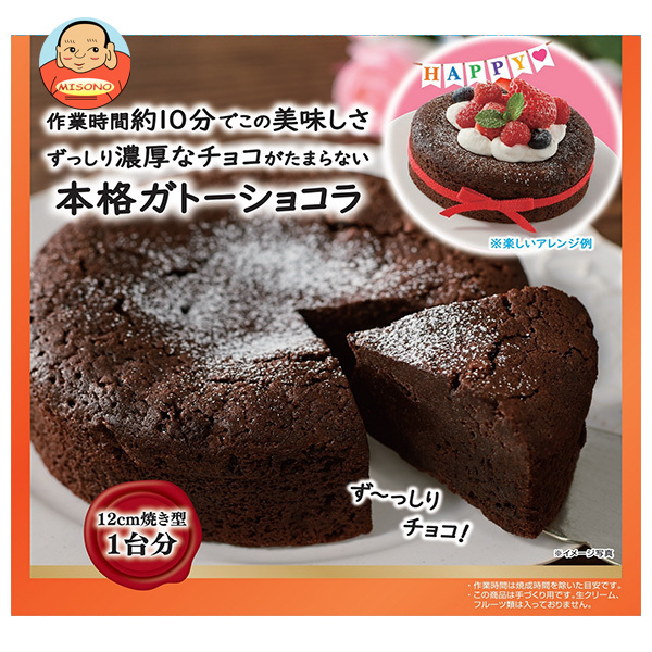 共立食品 本格ガトーショコラキット 170g×5袋入×(2ケース)｜ 送料無料 袋 製菓材料 菓子材料 ガトーショコラ