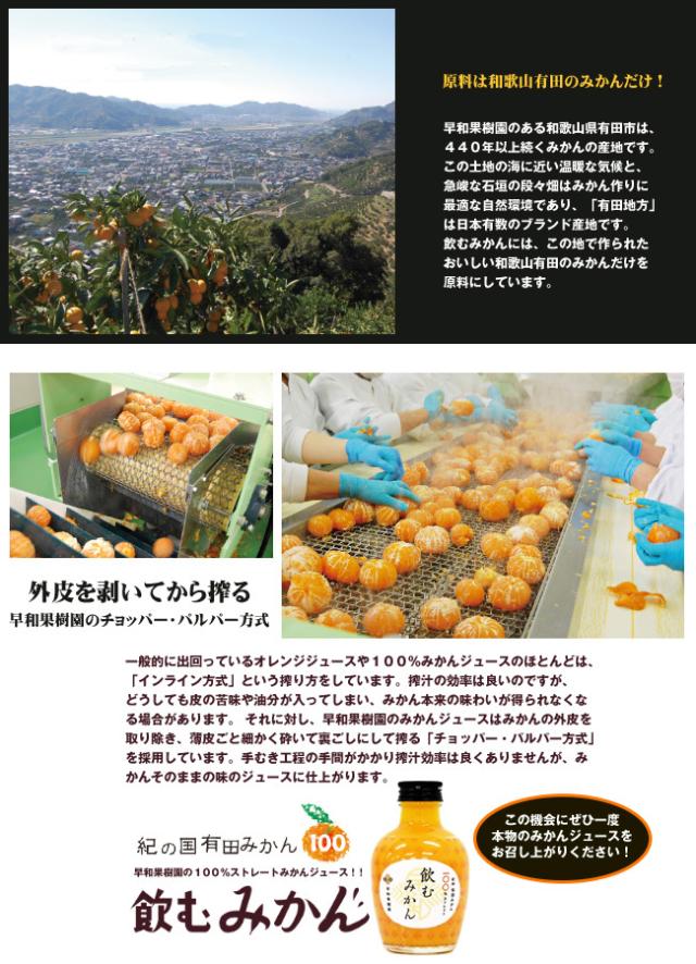 早和果樹園 飲むみかん 180ml瓶×30本入｜ 送料無料 オレンジジュース 100％ ストレート 瓶 オレンジ みかん 100% 果汁 ジュース_2