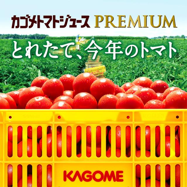 予約販売2025/8/5】カゴメ トマトジュース プレミアム 食塩無