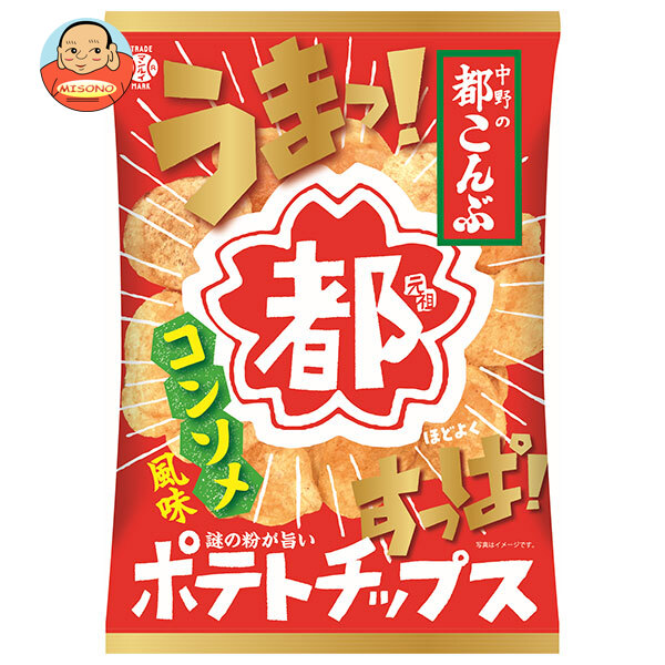 アイデアパッケージ 都こんぶポテトチップス コンソメ風味 90g×5袋入×(2ケース)｜ 送料無料 お菓子 おやつ スナック菓子 ポテチ 酢こんぶ コンソメ