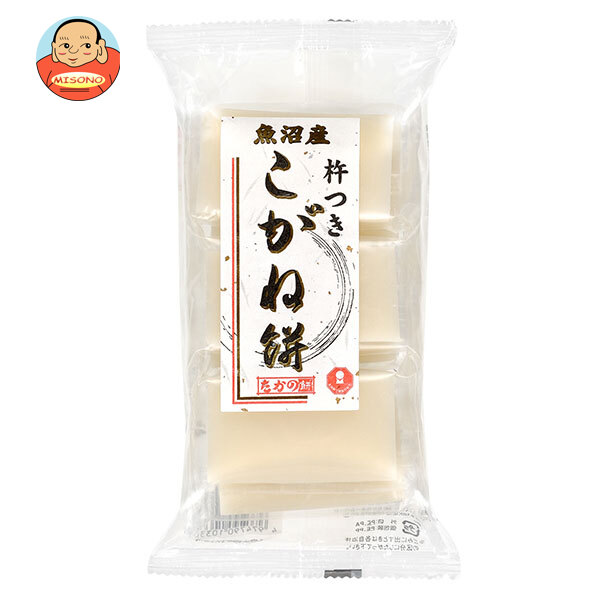 三田飲料 パインエード 1000ml×12本 ケース販売 業務用 模擬店