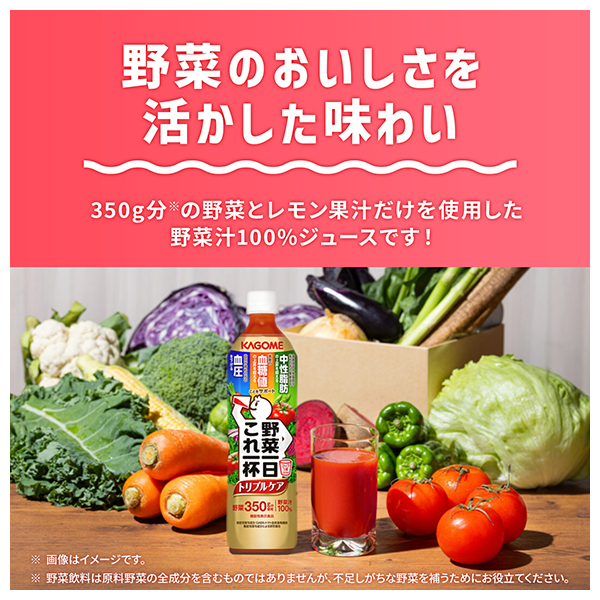 カゴメ 野菜一日これ一杯 トリプルケア 720mlペットボトル×15本入×(2ケース)｜ 送料無料 野菜 野菜ジュース 100%ジュース トリプルケア_4