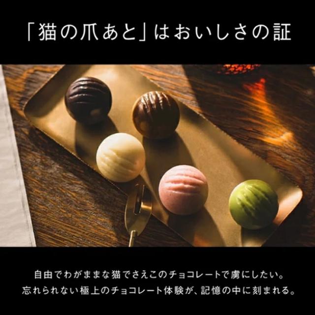CACAOCAT 缶 14個入 CAT 3個セット 送料無料 北海道 お土産 ギフト 人気 DADACA カカオキャット 猫 ネコ ねこ_2