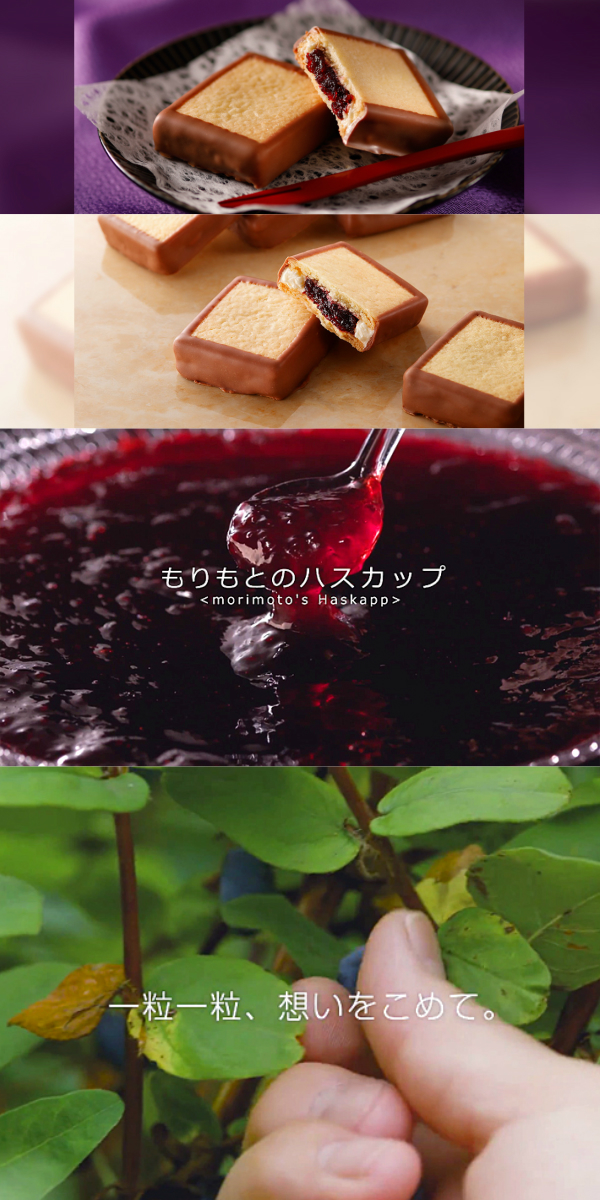 ハスカップジュエリーMIX 6個入 10箱セット もりもと 北海道 お菓子 スイーツ 人気 ミックスジャム バタークリーム チョコレート クッキー バレンタイン_4