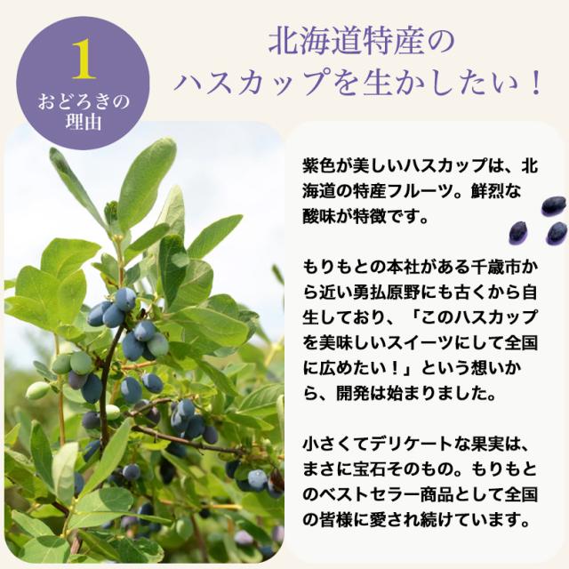 ハスカップジュエリーMIX 6個入 10箱セット もりもと 北海道 お菓子 スイーツ 人気 ミックスジャム バタークリーム チョコレート クッキー バレンタイン_10