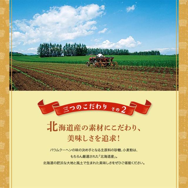 三方六 バームクーヘン 三方六の小割 10本入 5個セット 送料無料 北海道 お土産 ギフト 柳月 送料込み お中元 お歳暮 お祝い 内祝い ばらまき ご当地 お菓子 チョコレート_4