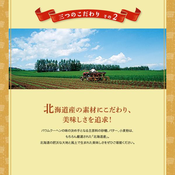 三方六 バームクーヘン 三方六の小割 10本入 8個セット 北海道産 送料込み 北海道 お土産 ギフト ご当地