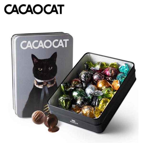 CACAOCAT 缶 14個入 CAT 3個セット 送料無料 北海道 お土産 ギフト 人気 DADACA カカオキャット 猫 ネコ ねこ