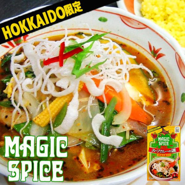 マジックスパイス 元祖スープカレーの源 135g 3食入り 北海道 スープカレー ご当地 グルメ お土産 贈り物 ギフト プレゼント バレンタイン