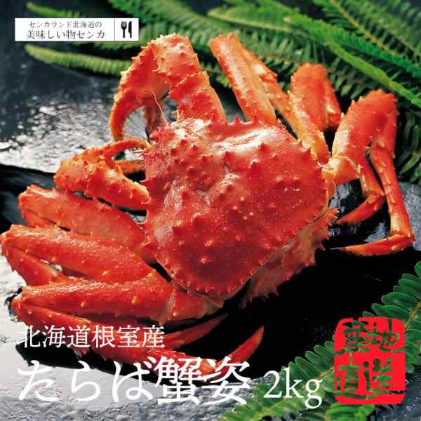 マルヨ食品 かにのり 120g×48個 03033 食品 魚介類・シーフード