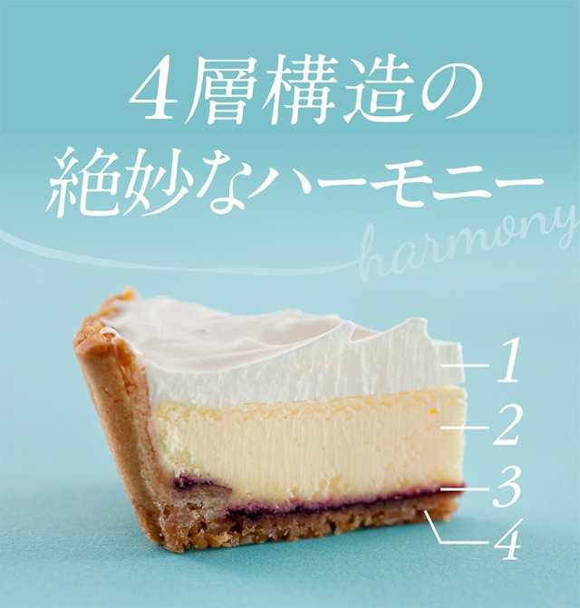 ふらの雪どけチーズケーキ 北海道 富良野 お土産 チーズケーキ ケーキ 手土産 プレゼント プチギフト 誕生日 取り寄せ おすすめ 贈り物  の通販はau PAY マーケット - 北海道銘菓 センカランド