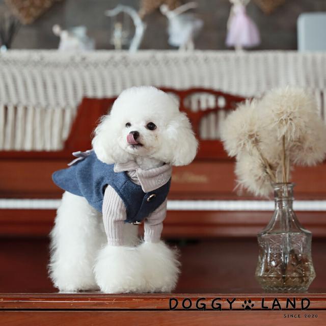 サラダ様専用ページ②です ダックスフンド 犬服 ベスト アウター