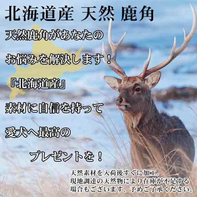 Deerhorn【Lサイズ】 北海道産 鹿角 ペット 犬 おもちゃ 大型犬