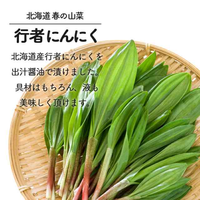 苗キューブポータブルプロフェッショナル通気性吸水農家野菜植物