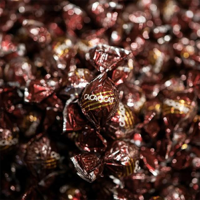 CACAOCAT 缶ミックス 14個入 FLOWER 5個セット 送料無料 ミルク