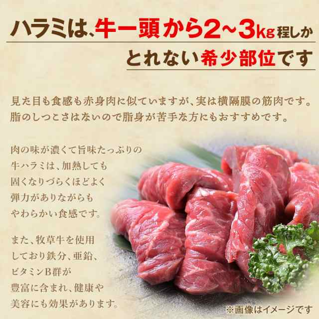 ハラミ　×　牛肉　バーベキュー　2セット購入でおまけ付き／肉　タレ付き　焼き肉　牛　お肉　PAY　1kg　2パック　au　メガ盛り　送料の通販はau　BBQ　500g　PAY　マーケット　焼肉　肉屋Mond　1000g　マーケット－通販サイト