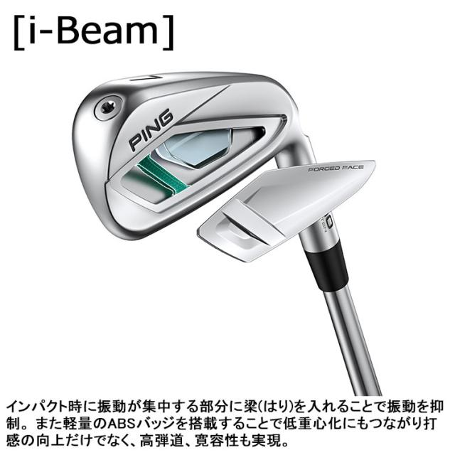 メーカーカスタム ピン i540 単品アイアン 右用 Dynamic Gold MID TOUR ISSUE シャフト 2026モデル 日本正規品 PING カスタム特注_6