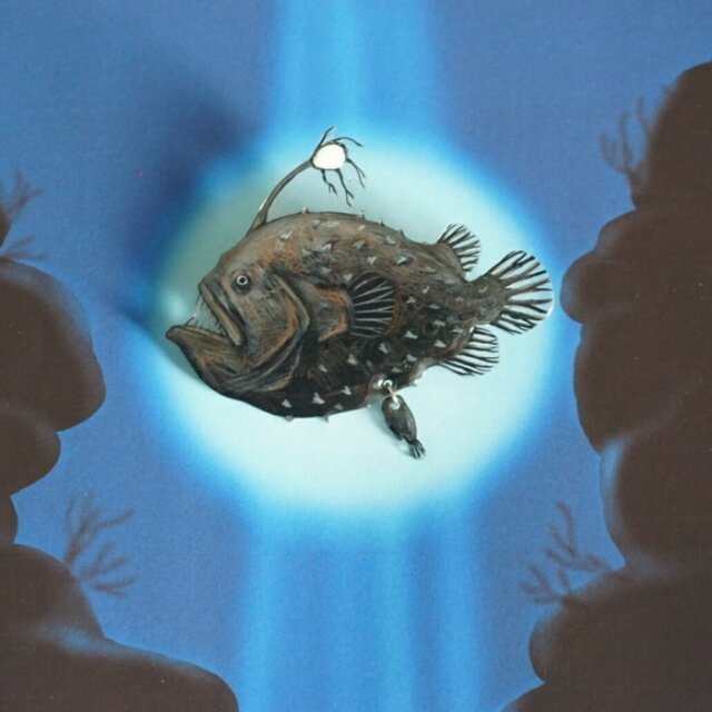 チョウチンアンコウ 雄付き ブローチ 深海魚 魚 魚のアクセサリー アクセサリー レディースの通販はau Pay マーケット 透明屋パク