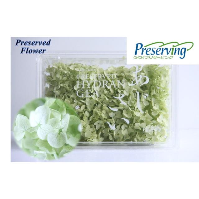 大地農園 プリザーブドフラワー 0 5輪分 ソフトピラミッドアジサイ クリアグリーン プリザ アジサイ 紫陽花 花材 ハーバリウム の通販はau Pay マーケット 透明屋パク