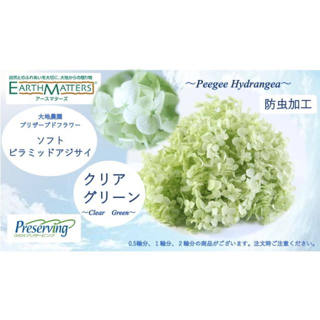 大地農園 プリザーブドフラワー 0 5輪分 ソフトピラミッドアジサイ クリアグリーン プリザ アジサイ 紫陽花 花材 ハーバリウム の通販はau Pay マーケット 透明屋パク