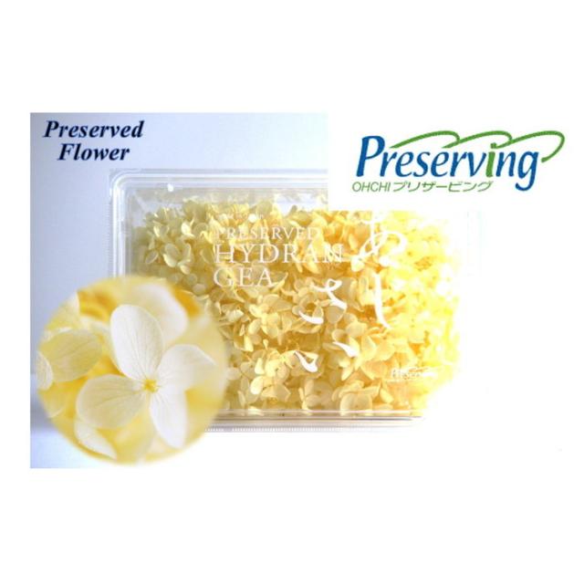 大地農園 プリザーブドフラワー アジサイ 全22色 1輪分 ソフトピラミッドアジサイ 花材 ハーバリウム 紫陽花 プリザの通販はau Pay マーケット 透明屋パク