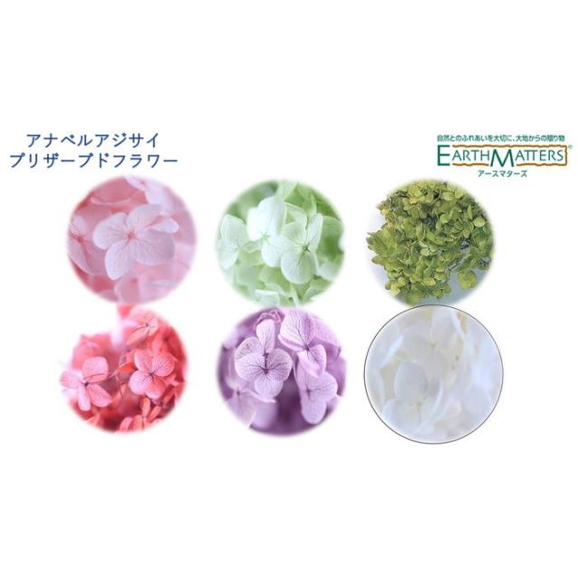 大地農園 プリザーブドフラワー ソフト ピラミッド アジサイ まとめ