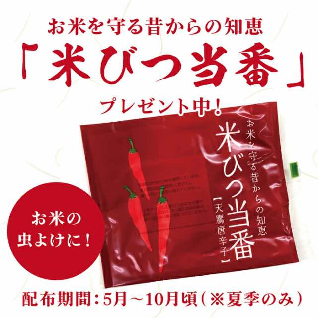 米 30kg 送料無料 30キロ はえぬき 山形県産 お米 令和五年産 白米