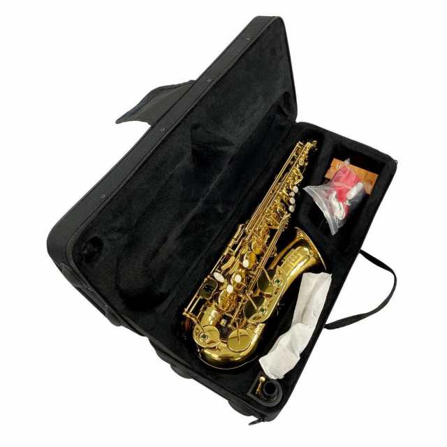 アルトサックス 初心者セット 安い 入門用 E Saxophone 吹奏楽 11点