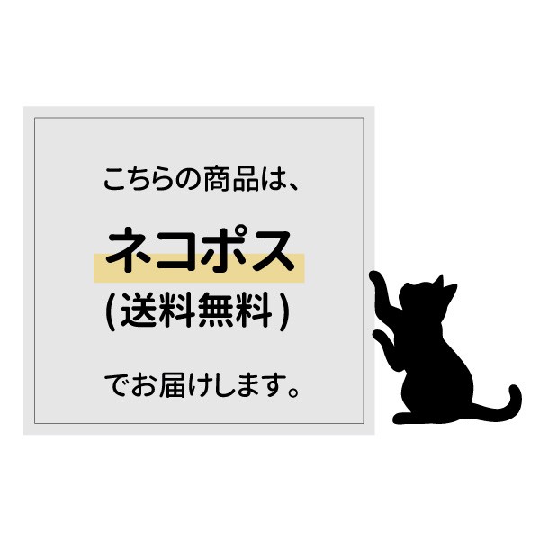 ひんやりおふとんクッション ラージ 接触冷感生地 シングル掛け布団 こたつ布団 1枚用 全3種 布団収納 クッション 布団収納袋 布団収納ケの通販はau Pay マーケット Craft Kyoto