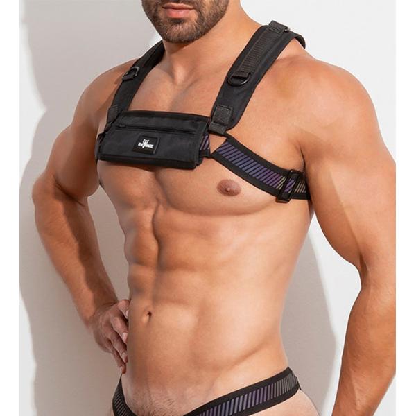 FLASHTECH POUCH HARNESS メンズ ファッション系 パッション 高級品 付属品 ベルト セクシー 情熱 調整可能 FLASHTECH POUCH HARNESS メンズ ファッション系 パッション 高級品