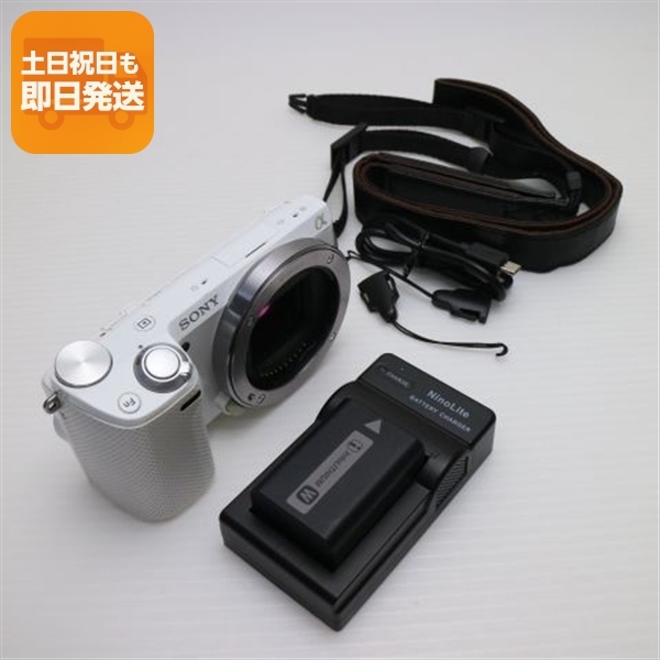 志賀 泰山 真作の書 超レア 志賀 泰山真作の書超レアGW限定値引き