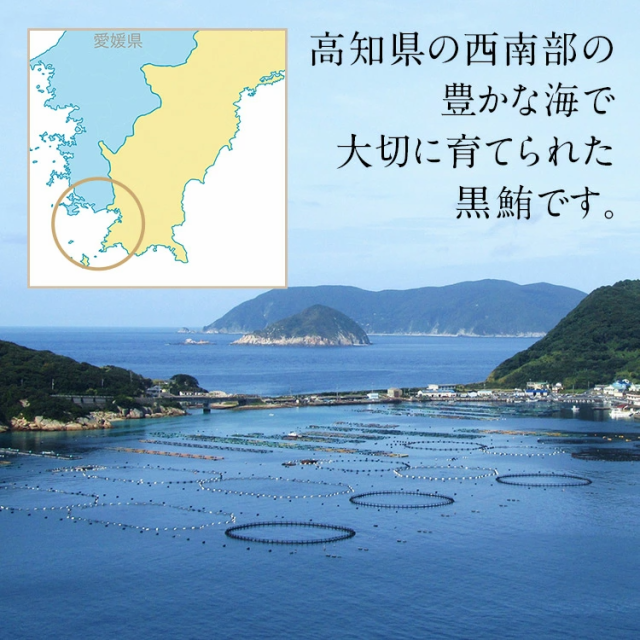 送料無料】築地直送 国産生本マグロ 赤身 柵 ◇ まぐろ マグロ 生まぐろ 本鮪 クロマグロ 刺身 マグロ丼 まぐろ丼 手巻き寿司 海鮮丼  の通販はau PAY マーケット - 築地わだつみ au PAY マーケット店