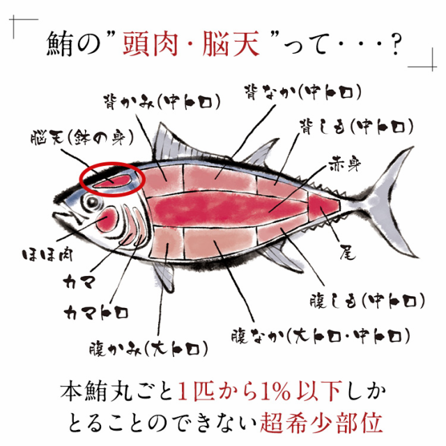 大トロ級の脂のり 本マグロ 頭肉 脳天 2人前240g 1g 2パック まぐろ 鮪 本鮪 本まぐろ クロマグロ つのとろ はちのみ 刺身 マグロの通販はau Pay マーケット 築地わだつみ Au Pay マーケット店