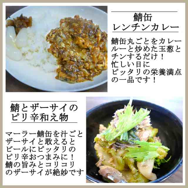 鯖缶 水煮 150gx48缶 サバ 缶詰 さば缶 さばかん 業務用 おつまみ