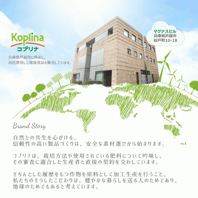 ＼新発売／20種マルチビタミン&鉄・ミネラル 120粒 2袋120日分【つるっと飲みやすい小粒 栄養機能表示食品 ベースサプリメント 鉄分強化配合 健康 サプリ サプリメント 栄養補助食品 安心国内製造 コプリナ】の通販は
