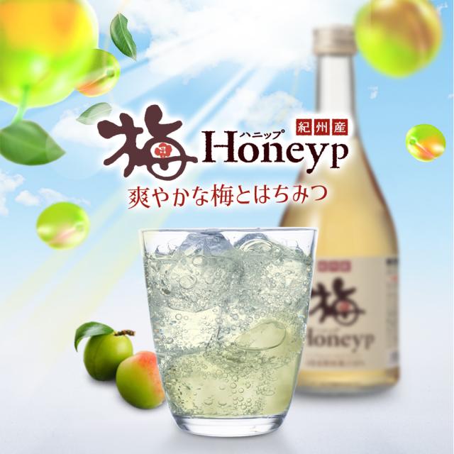梅シロップ 梅ジュース 希釈用 梅ドリンク 紀州産 梅ハニップ 590g×3