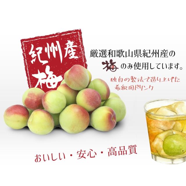 梅シロップ 梅ジュース 希釈用 梅ドリンク 紀州産 梅ハニップ 590g×3