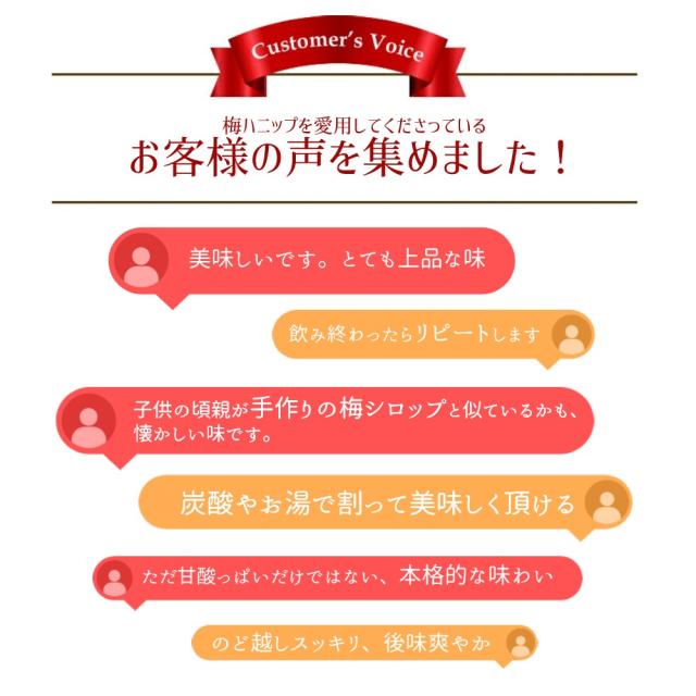 梅シロップ 梅ジュース 希釈用 梅ドリンク 紀州産 梅ハニップ 590ｇ×6本セット 梅 ノンアルコール フルーツジュース 送料無料 コプリナ_9