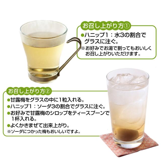 梅シロップ 梅ジュース 希釈用 梅ドリンク 紀州産 梅ハニップ 590ｇ×6本セット 梅 ノンアルコール フルーツジュース 送料無料 コプリナ_8