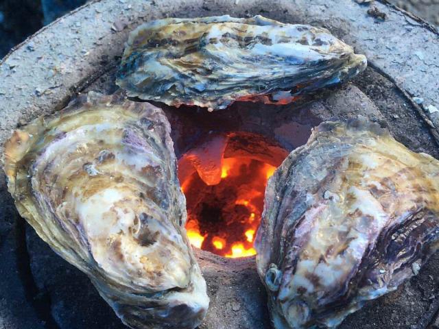 日生牡蠣 剥き身(1kg)＋殻付き(2.5kg)セット　2024年11月1日〜 受付開始　2025年1月10日〜 順次発送の通販は