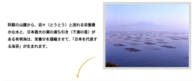 【送料無料(※一部地域を除く)】【お得な30袋セット】通宝海苔 納豆ふりかけ40g×30袋セット 賞味期限10か月以上保証