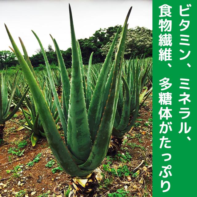 今だけセール 初回お試し特別価格　JAS認定有機無農薬　アロエベラジュース１００％　 2000ml 　超お得　６本セット 新鮮なアロエベラジュース　沖縄産　豊富な栄養分　最高品質アロエベラジュース　朝採れの最も新鮮なアロエベラジュース　営業日当日出荷_2
