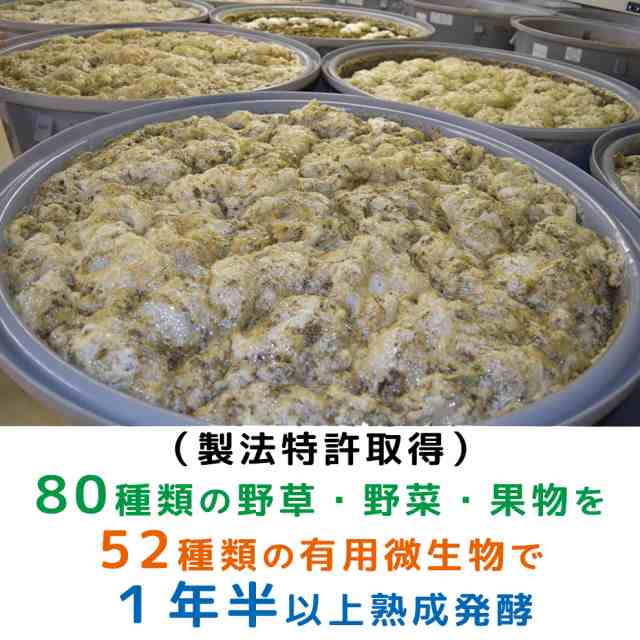 あけび アケビ 無農薬 新鮮 8 - 果物