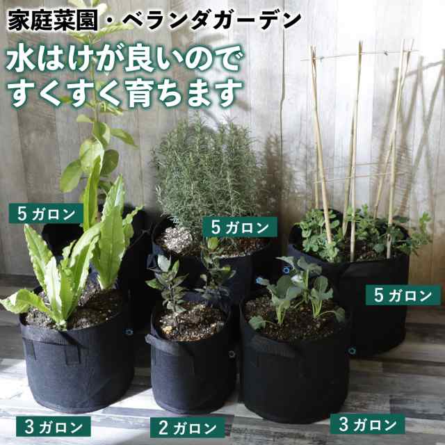 5ガロン ５個 10号 30x25 不織布ポット 軽い 深 鉢 植木 フェルト 野菜 家庭 菜園 ベランダ 寄せ植え 布 大きめ 黒 深め 布鉢 おしゃれ の通販はau Pay マーケット ｓｔｅｐ ｏｎｅ Au Pay マーケット店