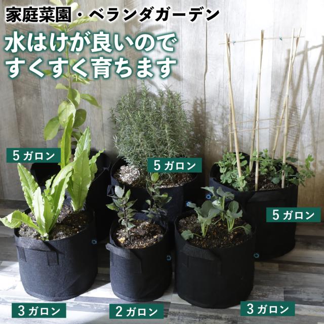 12ガロン 5個 14号 40x35 不織布ポット 軽い 深 鉢 植木 フェルト 野菜 家庭 菜園 ベランダ 寄せ植え 布 大きめ 黒 深め 布鉢 おしゃれ の通販はau Pay マーケット step one Au Pay マーケット店 12ガロン 5個 14号 40x35 不織布ポット 軽い 深 鉢 植木 フェルト 野菜 家庭 菜園 ベランダ 寄せ植え 布 大きめ 黒 深め 布鉢 おしゃれ の通販はau Pay マーケット step one Au Pay マーケット店