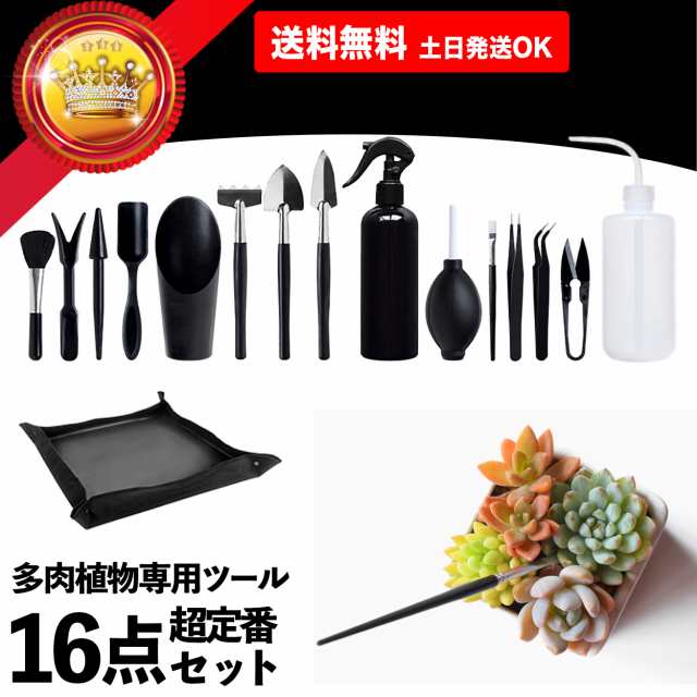 ガーデニングツール 16点セット 多肉植物 ギフト 工具 観葉植物 寄せ植え 植え替え お手入れ 世話 室内 ミニ 園芸用品 庭造り 手工具 レの通販はau Pay マーケット ｓｔｅｐ ｏｎｅ Au Pay マーケット店