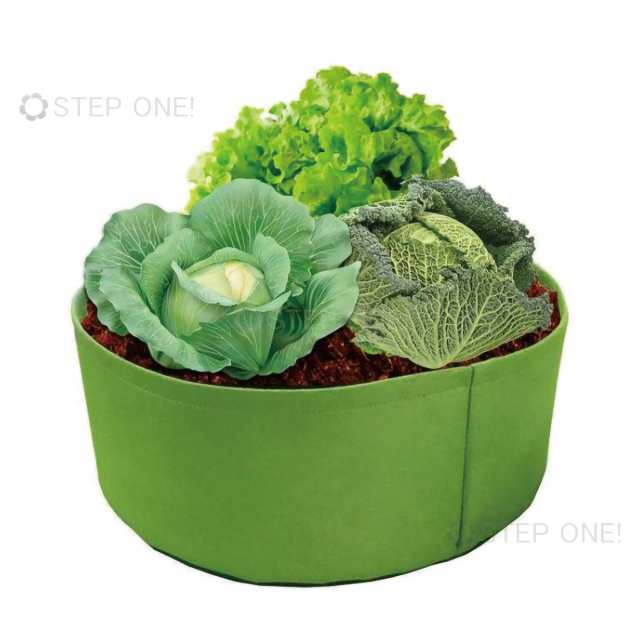 不織布ポット 植木鉢 プランター 大型 おしゃれ 軽い フェルト ガーデンバッグ 野菜栽培 家庭菜園 鉢 寄せ植え 布 布鉢 通気 大きめ 葉野の通販はau Pay マーケット ｓｔｅｐ ｏｎｅ