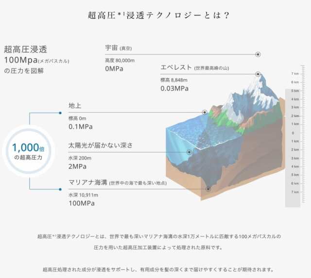 アンレーベル ラボ CO モイスト シャンプー＆トリートメントセット