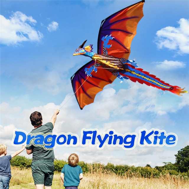 正規品販売! 凧【X-KITES】ドラゴン スワロウテイル 3機 マカウ3D 